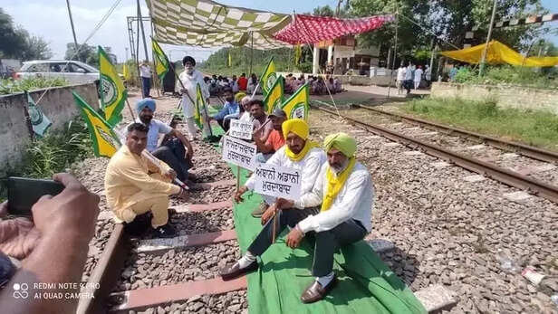 355140-e9haplvxiaeg61d