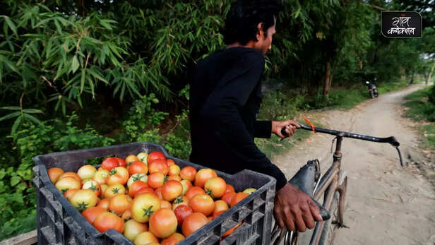 361212-cold-storage-facilities-india-post-harvest-crop-management-agriculture-base-cold-chain-farming-solutions-food-waste-1