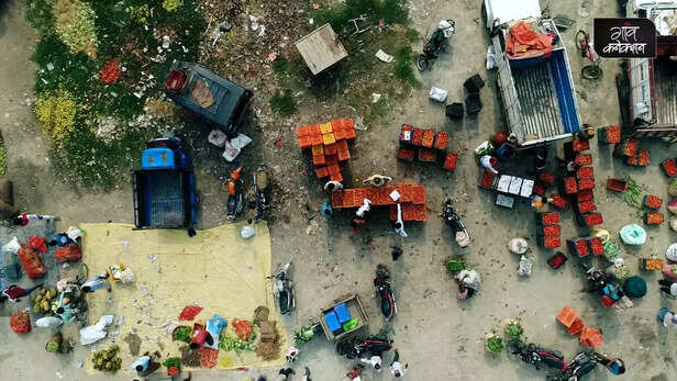 361213-cold-storage-facilities-india-post-harvest-crop-management-agriculture-base-cold-chain-farming-solutions-food-waste-8