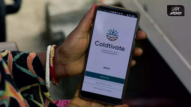 361216-untitled-design-48