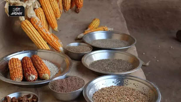 356073-indigenous-seeds-women-empowerment-livelihood-climate-change-debt-tribal-madhya-pradesh-1