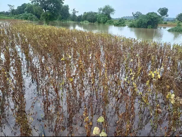 355840-how-many-rain-clouds-during-monsoon-in-maharashtra