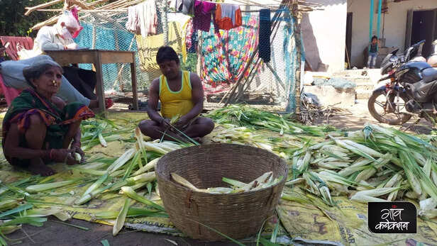 358389-ganjam-kewda-flower-kewra-perfume-industry-business-kirtipur-village-ganjam-odisha-4