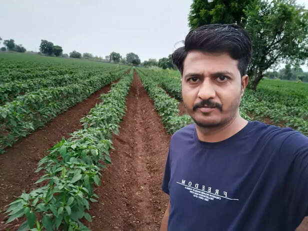 355503-green-chilli-fermer-of-mp