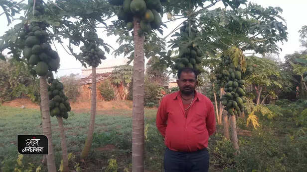 356598-organic-farming-madhya-pradesh-vegetable-cultivation-successful-farmer-gaon-connection-5