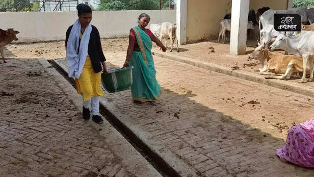 366989-cow-dung-natural-paint-prakritik-paint-manufacturing-process-self-help-group-3