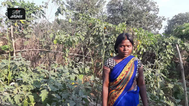 362641-migrant-labour-brick-kilns-women-migration-lohardaga-jharkhand-farming-pig-farming-agriculture-3