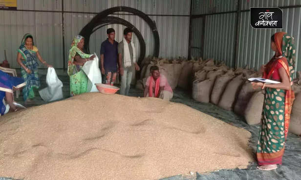 359920-rural-women-empowerment-madhya-pradesh-agriculture-products-procuremement-2