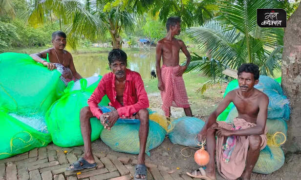 367297-sundarban-fisheries-bonbibi-boat-tigers-mangroves-livelihood-2