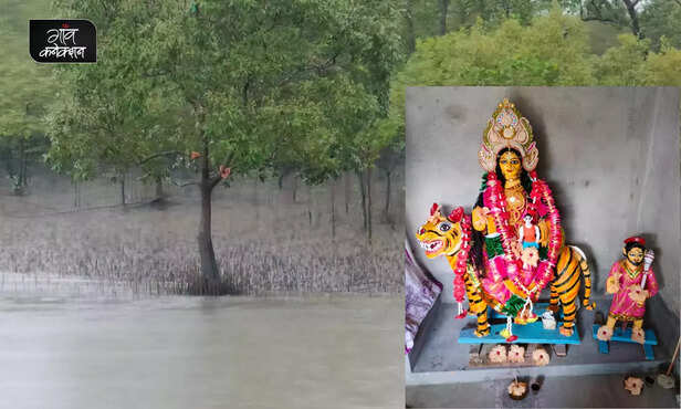 367298-sundarban-fisheries-bonbibi-boat-tigers-mangroves-livelihood-1