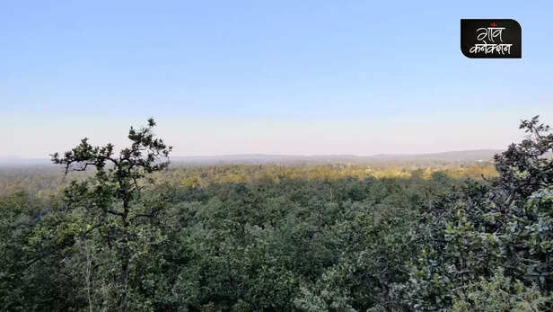 354921-lemru-elephant-reserve-chhattisgarh-elephant-conservation-coal-mines-6