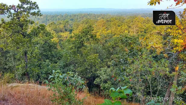 354923-lemru-elephant-reserve-chhattisgarh-elephant-conservation-coal-mines-3