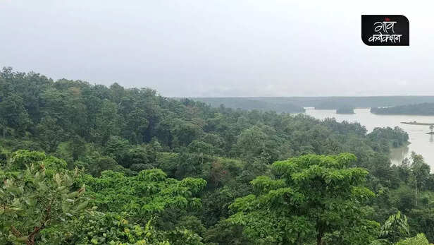 354924-lemru-elephant-reserve-chhattisgarh-elephant-conservation-coal-mines-5