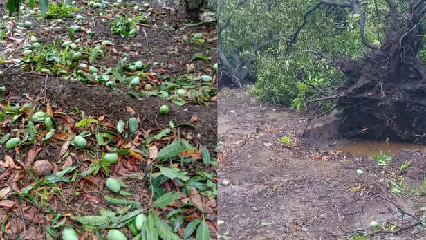 353240-tauktae-cyclone-gaon-connection