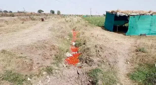 352405-whatsapp-image-2021-04-06-at-134521