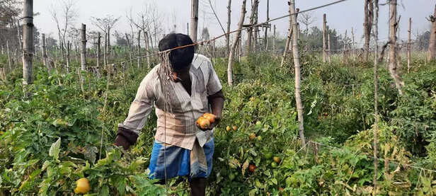 352404-whatsapp-image-2021-04-07-at-101918