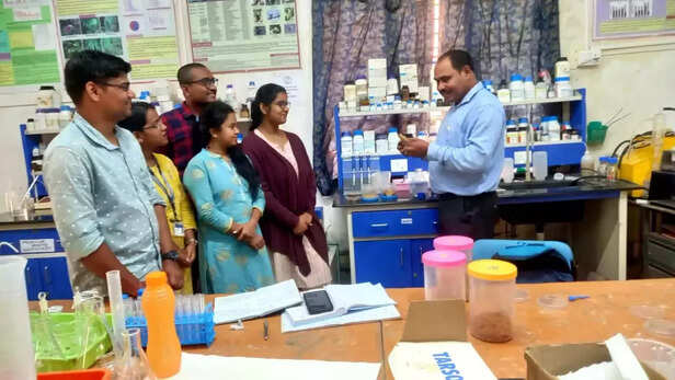 368720-wild-yam-cookies-snacks-tribal-community-koraput-orissa-kondh-paroja-bhumia-bhatras-duruas-tribal-communities-2