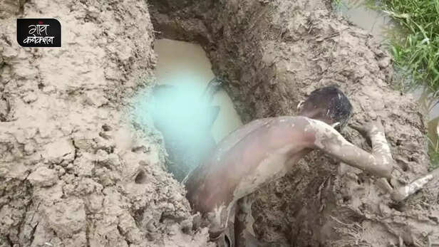 354605-african-swine-fever-assam-piggery-sector-farmer-northeast-pig-farmer-3