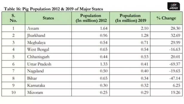 354607-african-swine-fever-assam-piggery-sector-farmer-northeast-pig-farmer-1
