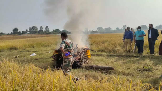 356314-hunting-a-young-tiger-in-the-forest-of-satna-district-of-madhya-pradesh