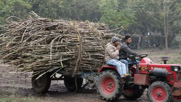 357805-area-and-production-of-sugarcane-in-the-country
