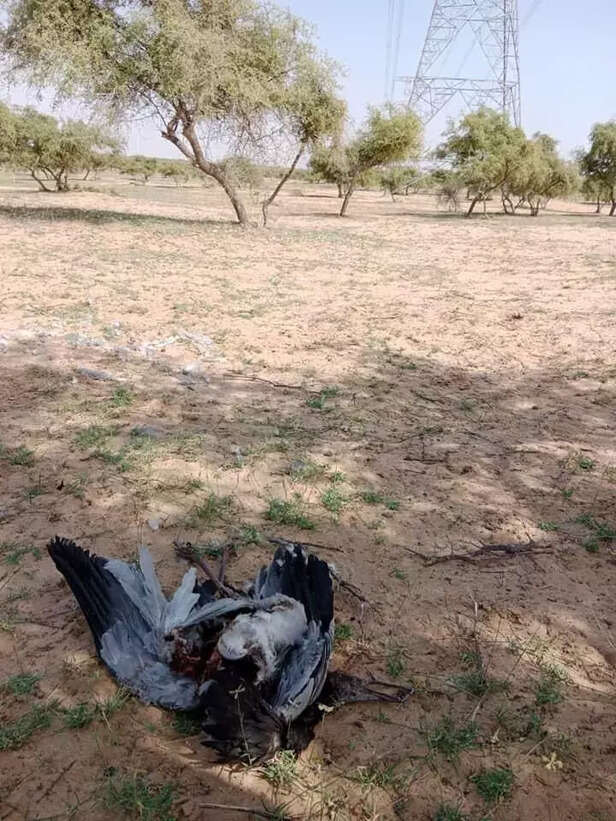 356287-whatsapp-image-2021-10-26-at-133852-1