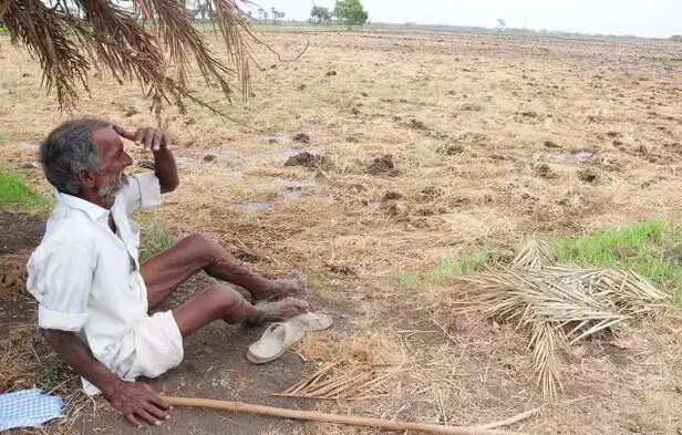 355165-monsoon-rainfall-odisha-drought-farmers-kharif-season-agriculture-farmers-suicide-climate-change-4