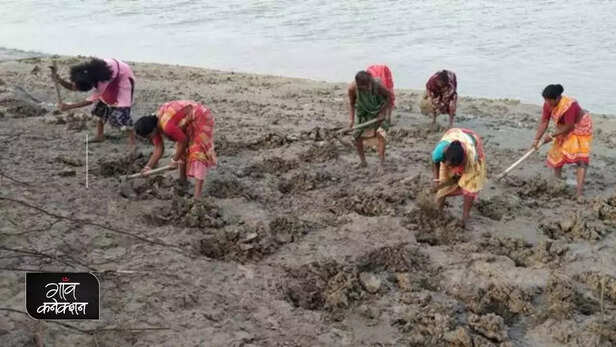 355221-mangrove-sundarban-west-bengal-environment-tree-plantation-women-empowerment-climate-change-cyclones-3