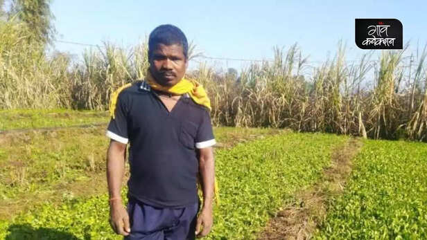 356561-traditional-wheat-variety-gajdi-cultivation-anuppur-madhya-pradesh-farmers-gaon-connection-2