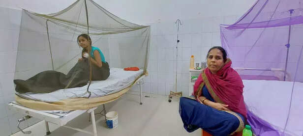 356420-zika-virus-update-kanpur