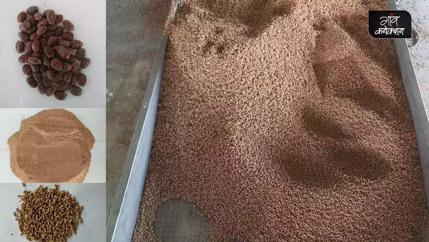 354981-fish-feed-litchi-seed-waste-fresh-water-fish-farming-pusa-agricultural-university-1