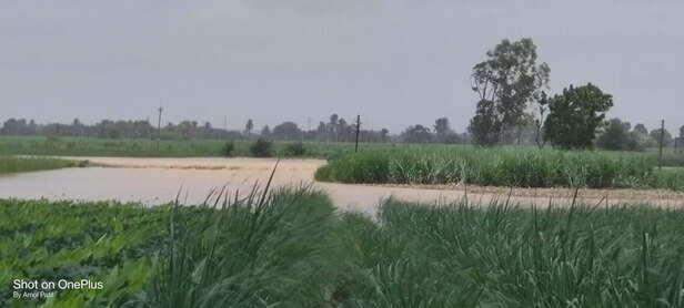 354707-sangli-flood-maharastra-scaled