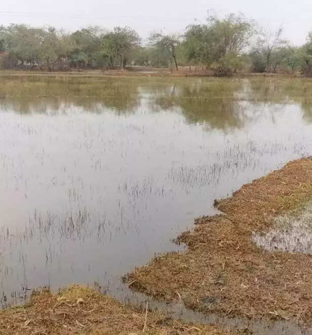 353832-cyclone-salt-water