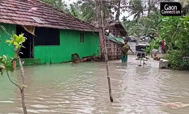 353836-cyclone-yaas-2