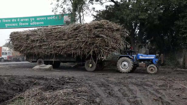 357705-up-election-western-uttar-pradesh-sugarcane-farmers-cane-farmer-payment-sugar-mill-payment-status-electricity-bill