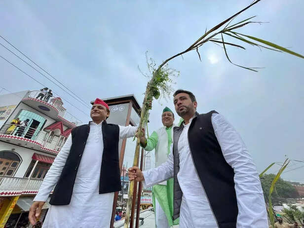 357704-akhilesh-yadav-jayant-chaudhari-with-sugar-cane-