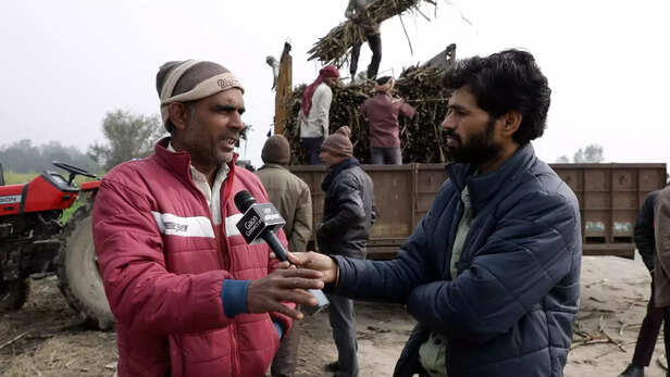 357707-electricity-bill-for-farmers-yogi-adityanath-akhilesh-yadav-jayant-chaudhari-rakesh-tikait-farming-chunav-update-news