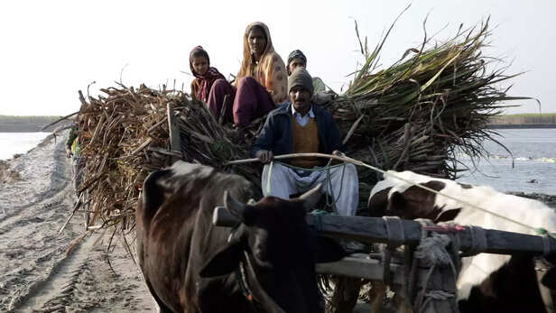 357710-data00295504still007