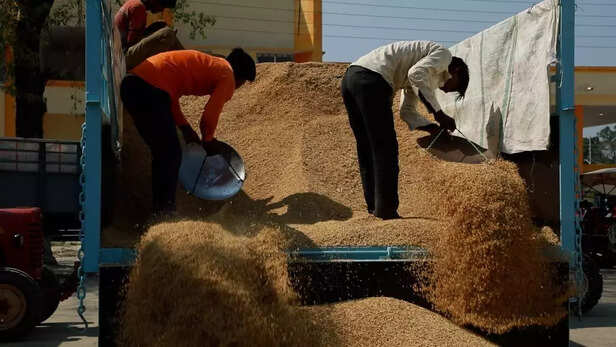 356090-todays-rate-of-paddy-msp-paddy