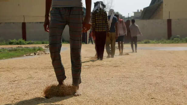 356092-farmers-allege-that-paddy-is-not-being-procured-at-msp-at-government-centers-by-telling-the-amount-of-moisture-in-paddy