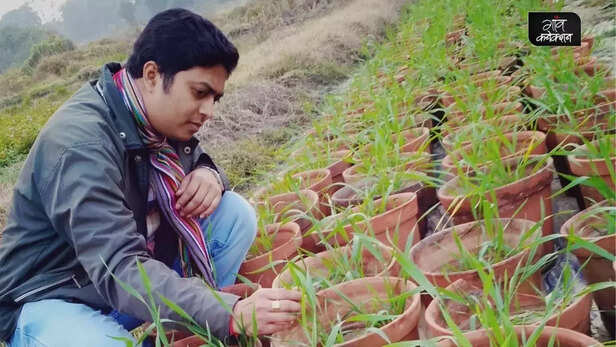 353963-wheat-and-rice-are-losing-nutrients-like-zinc-and-iron-malnutrition-nutrients-climate-change-research-1