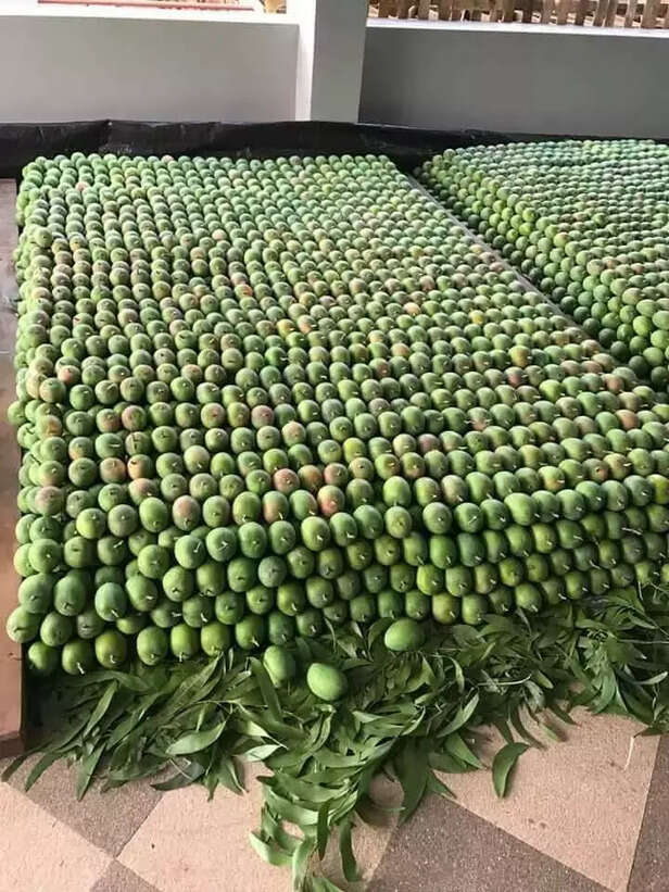 352224-302613469703986597761258000812306172739584n