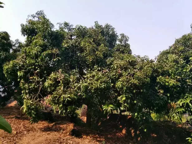 352225-301279799703986131094633939787545163857920n