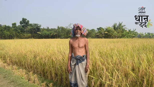 361004-bangladesh-paddy-production-aman-dhan-drought-monsoon-rainfall-climate-change-12