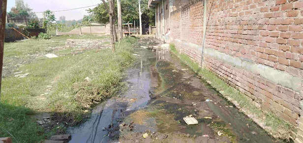 356305-dengue-outbreak-in-kannauj-uttar-pradesh-delhi-plasma-dengue-fever-patients-died-gaon-connection-6-scaled