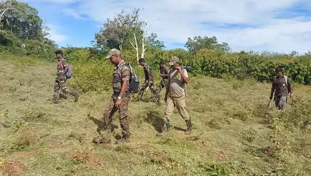 356219-mudumalai-tiger-reserve-national-park-tamil-nadu-forest-nilgiri-hills-gaon-connection-3
