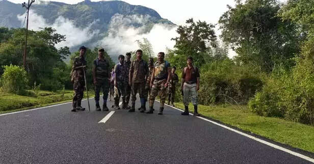 356220-mudumalai-tiger-reserve-national-park-tamil-nadu-forest-nilgiri-hills-gaon-connection-2