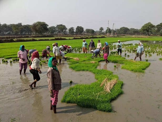 354746-chhattisghar-ethanol-project-fic-and-state-govt