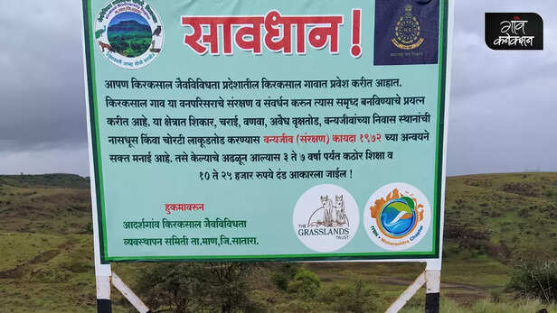 362994-gaon-moment-65