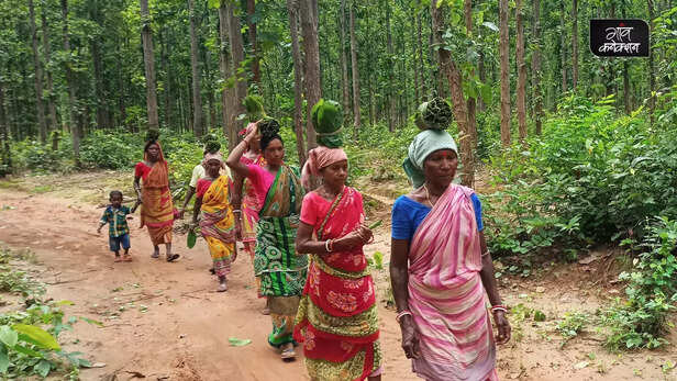 367437-sal-leaves-tribal-women-livelihood-bankura-west-bengal-gender-health-wildlife-5